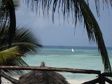   : Zanzibar 2011